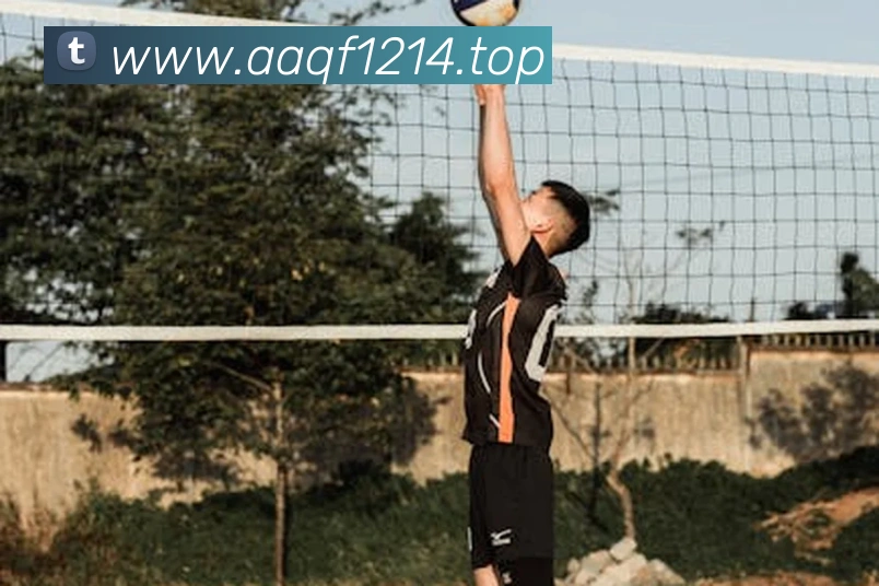 世界杯官方网品牌故事