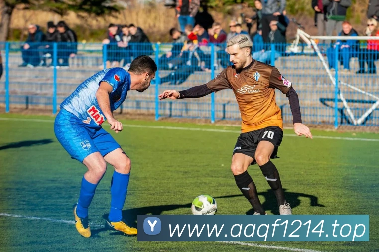 世界杯官方网服务体系